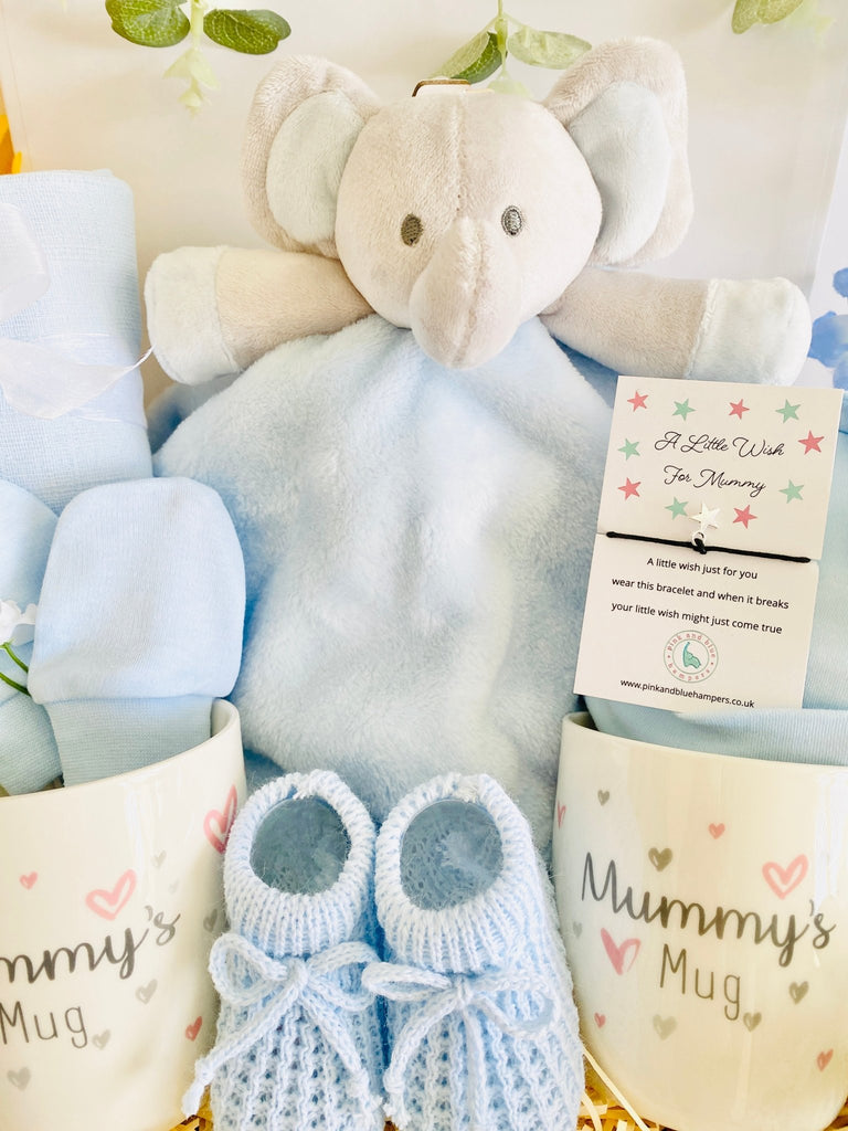 Two Mummies Baby Gift - Wishes For My Mummies - Pink and Blue Hampers