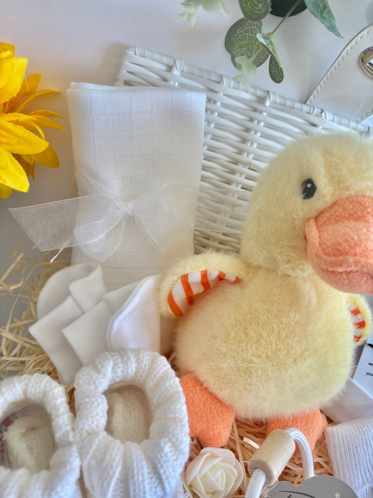 Unisex Baby Hamper - Count With Duck - Pink and Blue Hampers