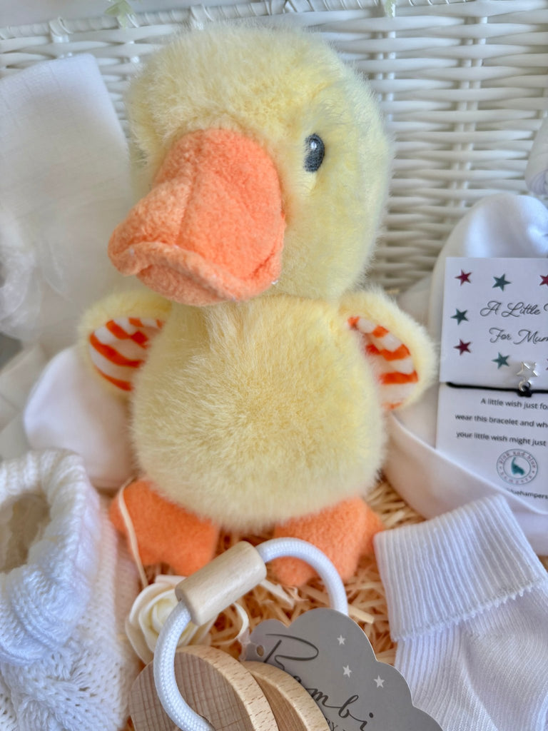 Unisex Baby Hamper - Count With Duck - Pink and Blue Hampers