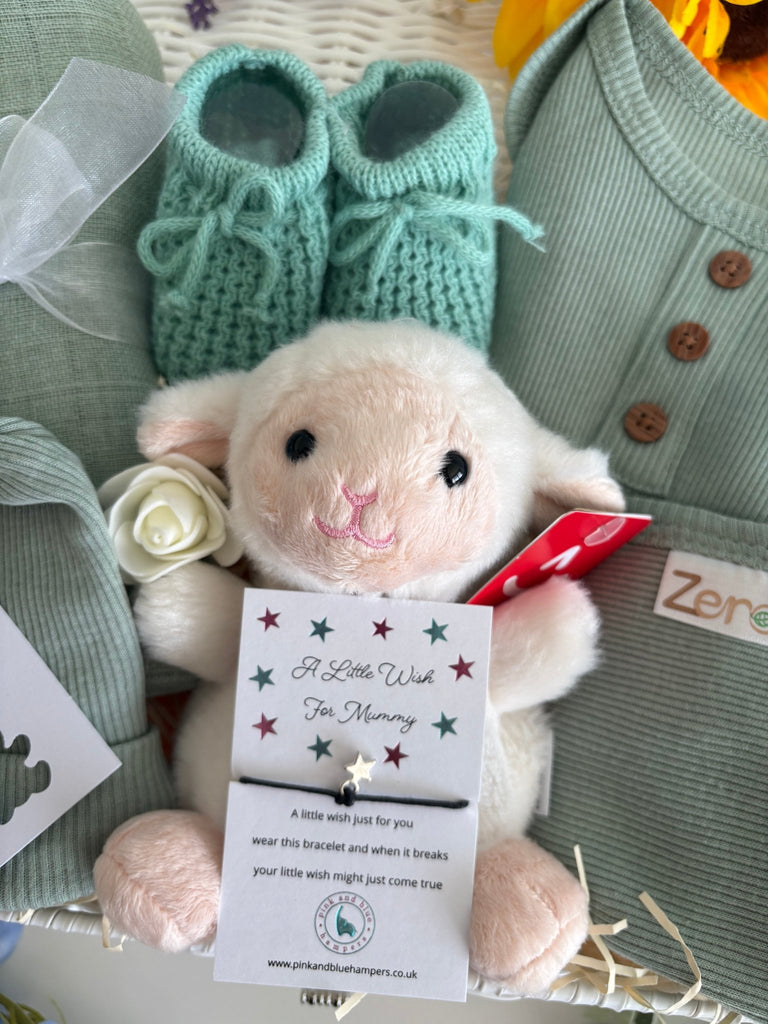 Unisex Baby Hamper - Little Lamb - Pink and Blue Hampers
