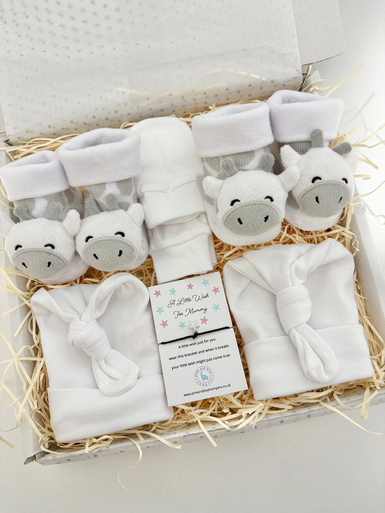 Unisex Twin Baby Gift Set - Personalised Twin Gift Box - Pink and Blue Hampers