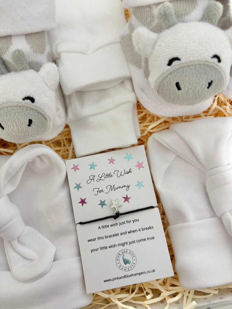 Unisex Twin Baby Gift Set - Personalised Twin Gift Box - Pink and Blue Hampers