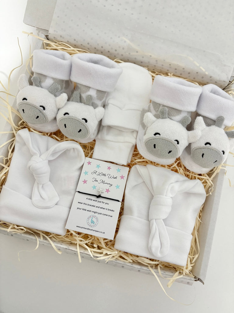 Unisex Twin Baby Gift Set - Personalised Twin Gift Box - Pink and Blue Hampers