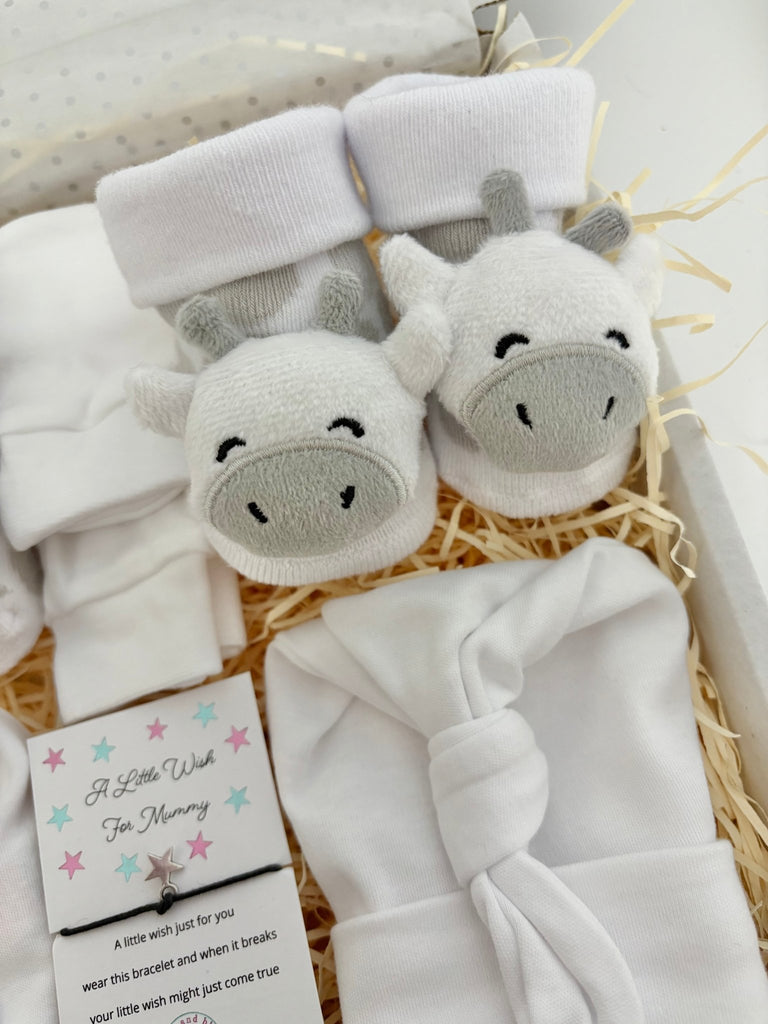 Unisex Twin Baby Gift Set - Personalised Twin Gift Box - Pink and Blue Hampers