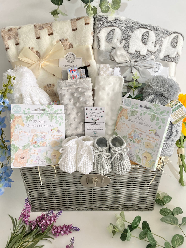Unisex Twin Hamper - Soft Twin Cuddles - Pink and Blue Hampers