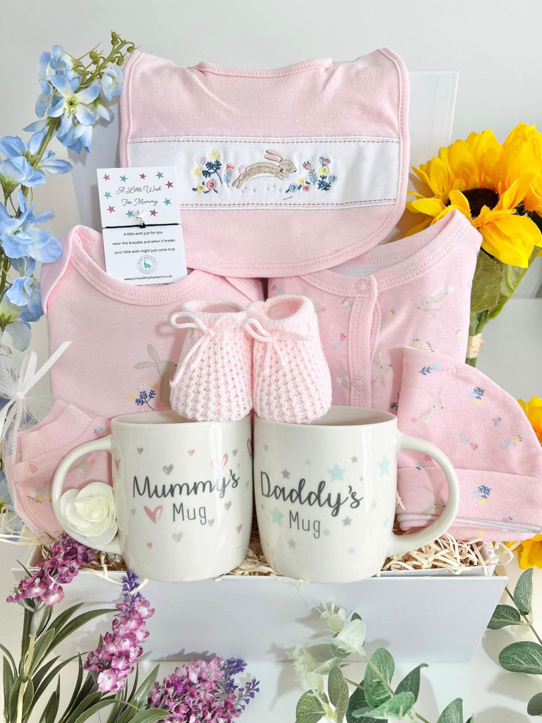 Beautiful Hopping Bunny Baby Girl Gift Set, New Parents Gift - Pink and Blue Hampers