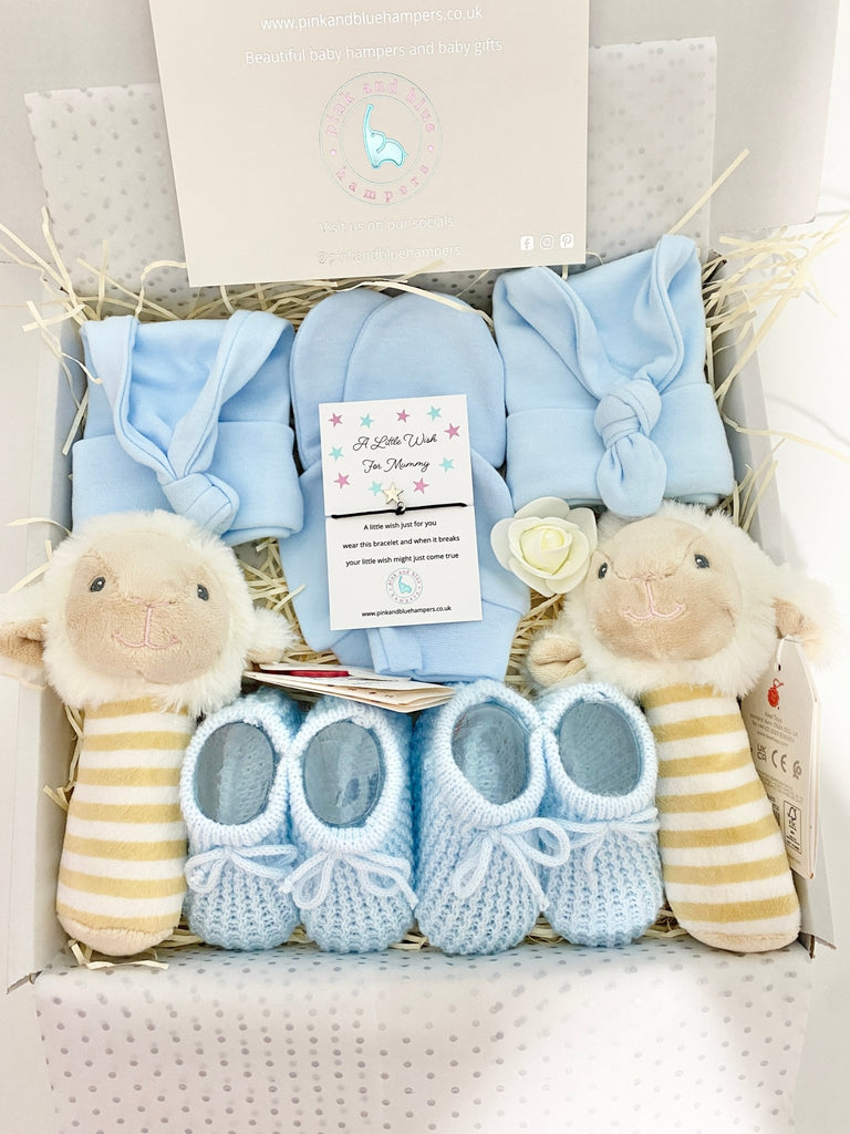 Beautiful Twin Boys Baby Gift Set, Twin Gift Set - Pink and Blue Hampers