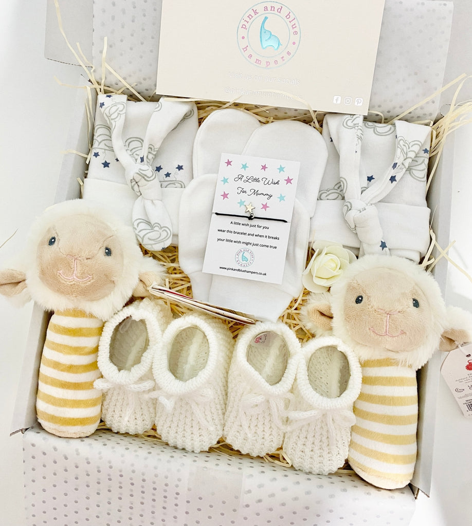 Beautiful Unisex Twin Baby Gift Set, Twin Gift Box - Pink and Blue Hampers