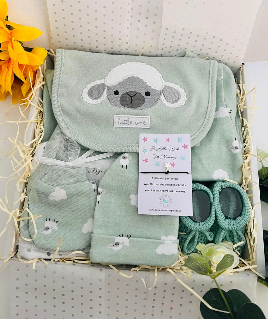 Little Lamb Unisex Baby Gift Set - Pink and Blue Hampers