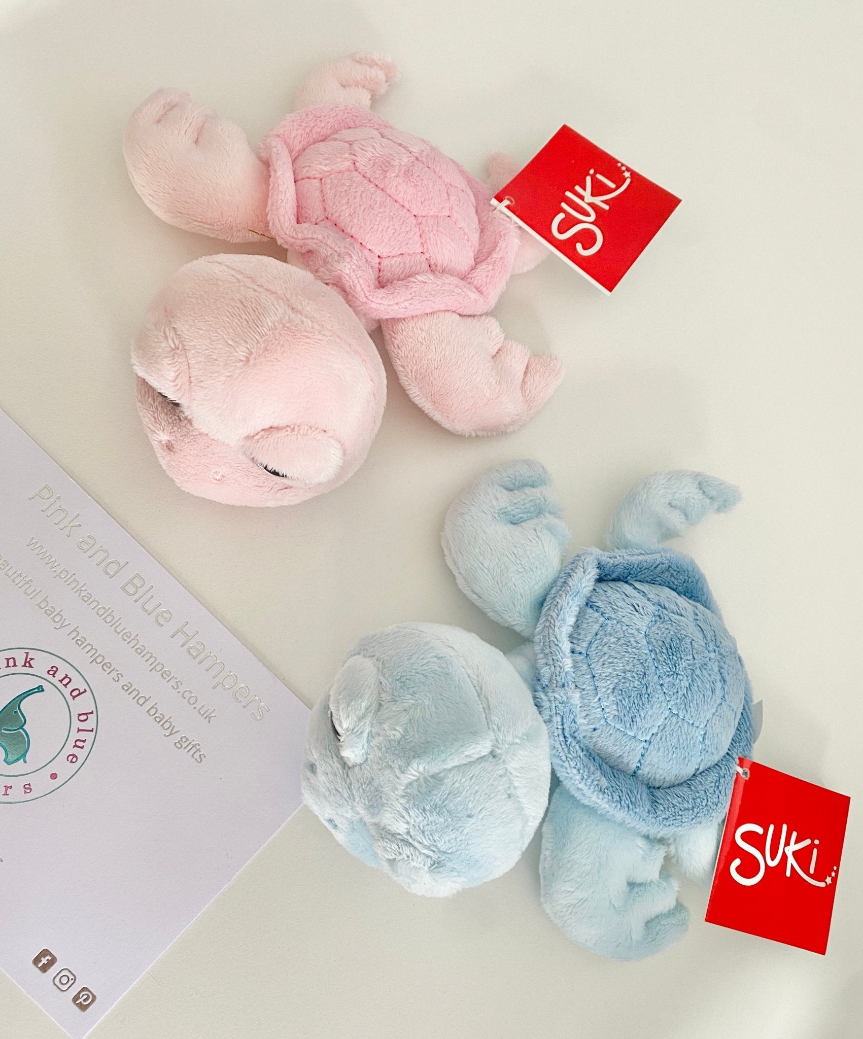 Turtle Rattle Kit Pink Turtle Rattle Toy – Pink and Blue Hampers