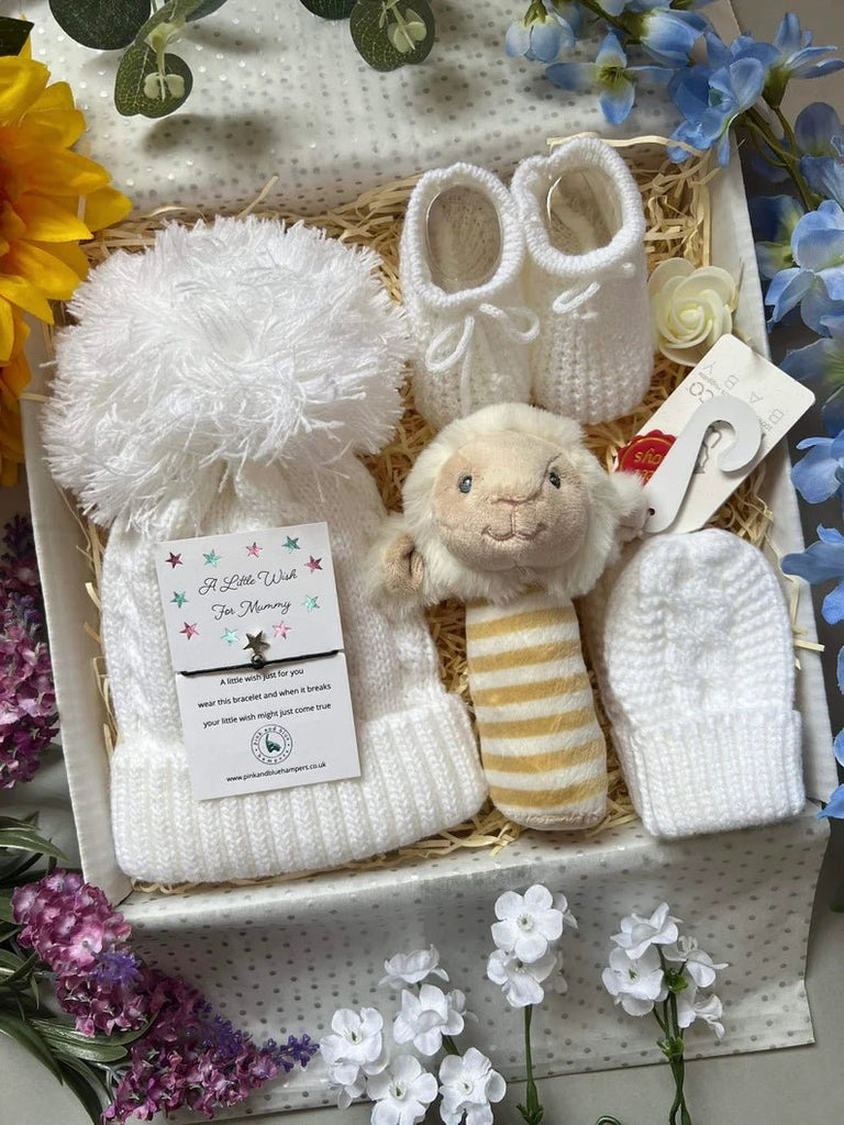 Super Cute Unisex Baby Gift Set, Winter Baby Gift - Pink and Blue Hampers